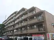 エバーグレース仙川