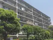 ハイラーク横浜白山