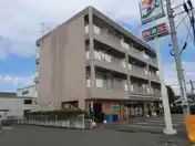 コスモス ショウナン