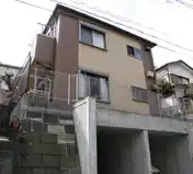 パインツリー