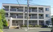 コリン・プリマヴェラ