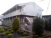 トラッド光
