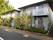 ピソリドウ
