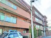 グレースコータス・ミヤザキ