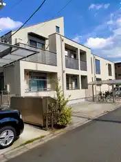 ホワイトベリー