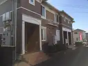 エヴァーグリーンB