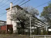 花見川団地7-8