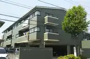 アローカリア