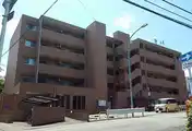 スールセレッソ妙蓮寺