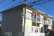 ルピア水葉