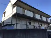タウニーエース