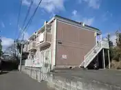 ステラチェリー