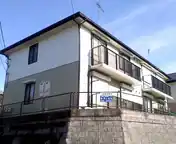 クリプトメリアA