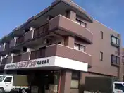 ステラ21