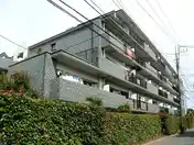 コトー田無