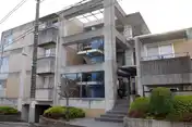 コリーヌ八雲