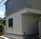 ルピナス