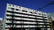 モンテベルデ新中野