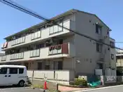 PALELIOT