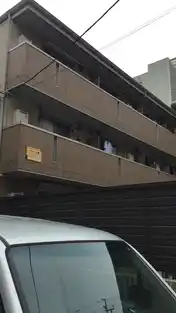 プランドール樹