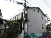 スターチス