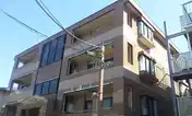 ニューフォレスト