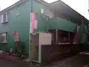 エバーグリーンオオタ
