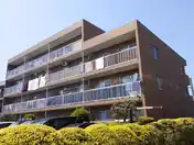 カンフィー桜森