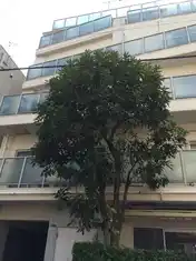 清澄サニーハイツ