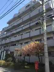 アドニスシマダ