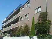 サンクエトワール