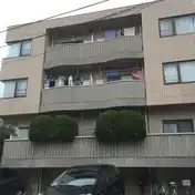 カルムサイトー