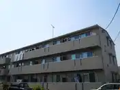 コルティー