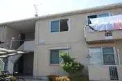 シャモア