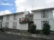 ホワイトベル