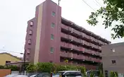 エクセラ鎌倉