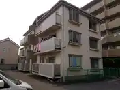 ランベルセアサミ