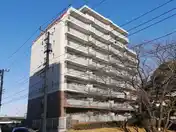 ミオカステーロ村上