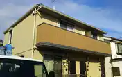 エバーグリーン栄
