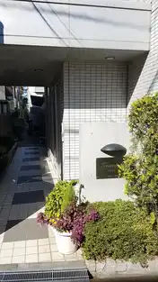 グレイスS