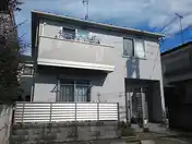 メープルリーフ