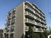 グリーンパレス和光