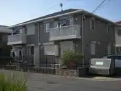アプリコット
