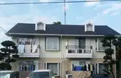 カリブ