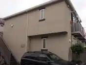 ピットーレ