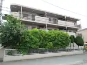 ザ・ピューラー横浜NO.1