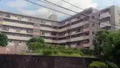 江田ロビニア