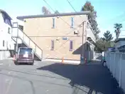 アゼリア