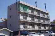 ゼルコバ611
