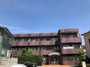 アウレア・レックス